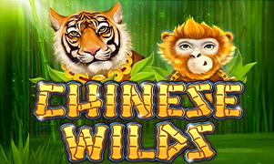 good88 Chinese Wilds